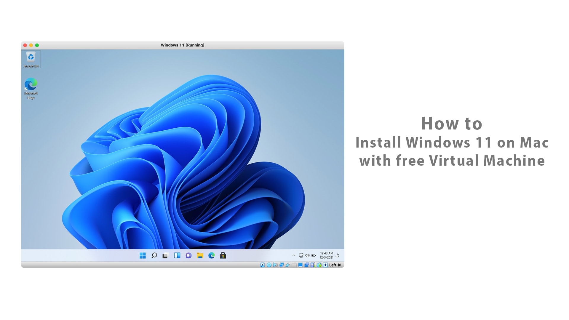 How to Install Windows 11 on Mac with Free Virtual Machine
